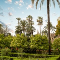 jardins du real alcazar à séville, espagne - garden decoration photos et images de collection