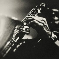 jazz. - concert stock pictures, royalty-free photos & images