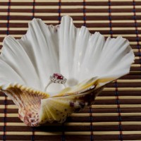 just a little break of romance gift for you with love - garden decoration stock pictures, royalty-free photos & images