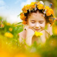 kleines mädchen auf dem bauch liegen löwenzahn-feld - garden decoration stock-fotos und bilder