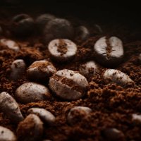 koffiebonen - coffee stockfoto's en -beelden