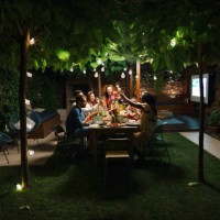 la famille et quelques amis profitent d’un repas en plein air dans une cour ensemble. - garden decoration photos et images de collection