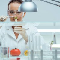 laboratory - food stock pictures, royalty-free photos & images