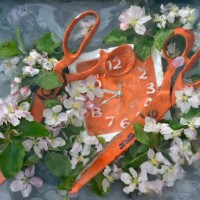 ladakh fox - garden decoration stock pictures, royalty-free photos & images