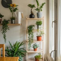 ladder with flowers in the apartment - home decoration stock pictures, royalty-free photos & images
