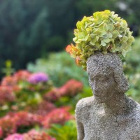 lady statue in the garden crowned with a single hydrangea blossom - garden decoration stock pictures, royalty-free photos & images