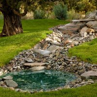 landscaped yard with pond on grass hill - garden decoration stock pictures, royalty-free photos & images