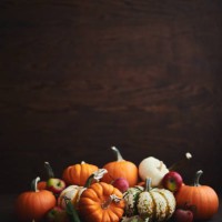 large collection of different pumpkin varieties in rustic setting for fall and thanksgiving - home decoration stockfoto's en -beelden