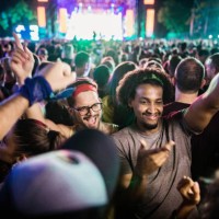 large group of cheerful people having fun on a music concert by night. - concert stock pictures, royalty-free photos & images