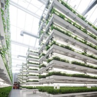 large vertical farm inside a greenhouse image generated digitally - food stock pictures, royalty-free photos & images