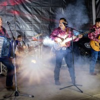 latin music band playing a song in a concert - concert stock pictures, royalty-free photos & images