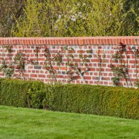 lawn, hedge, wall and shrubbery - garden decoration stock pictures, royalty-free photos & images
