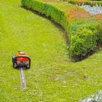 lawn mower trimming a garden. - garden decoration stock pictures, royalty-free photos & images
