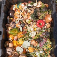 leftovers in compost container - food stock pictures, royalty-free photos & images