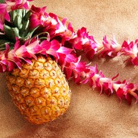 lei on pineapple at the beach - food stock pictures, royalty-free photos & images