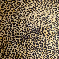 leopards (panthera pardus) fur, fabric - fashion stock pictures, royalty-free photos & images