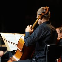 let's get classical - concert stock pictures, royalty-free photos & images