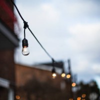 light bulb - garden decoration stock pictures, royalty-free photos & images