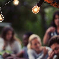 light bulbs on branch with friends enjoying dinner party at yard - garden decoration stock pictures, royalty-free photos & images