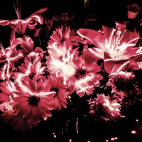 light flowers - garden decoration stock pictures, royalty-free photos & images