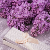 lilac and open gift - home decoration stock pictures, royalty-free photos & images