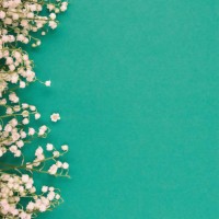 lily of the valley flowers from one side on green background - garden decoration stock pictures, royalty-free photos & images