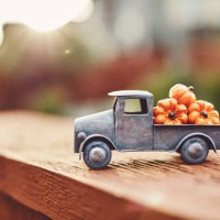 little truck with load of miniature pumpkins for fall and thanksgiving - garden decoration stock pictures, royalty-free photos & images