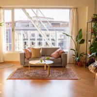 living room at a fashionable loft. wooden floor and furniture. grey cozy sofa, carpet and a lot of plants - home decoration stock pictures, royalty-free photos & images