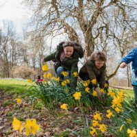 looking for easter eggs - garden decoration stock pictures, royalty-free photos & images
