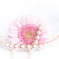 lovely pink - garden decoration stock pictures, royalty-free photos & images