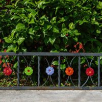 low metalwork fence with curved inserts with flower decorations around a garden bed planted with a hibiscus bush - garden decoration stock pictures, royalty-free photos & images