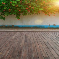 lush blooming critters planted on white wall in park, wooden floor plaza and walkway - garden decoration stockfoto's en -beelden