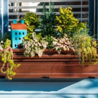 lush foliage decorates window box - garden decoration stockfoto's en -beelden