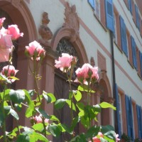 münstertal/schwarzwald,germany - garden decoration stock pictures, royalty-free photos & images