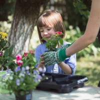 mère heureuse plantant des fleurs et s’amusant avec son petit enfant dans la cour arrière - garden decoration photos et images de collection