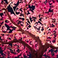 magic tree - garden decoration stock pictures, royalty-free photos & images