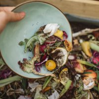 making compost from leftovers - food stock pictures, royalty-free photos & images