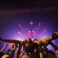 male rock star crowd surfing - concert stock pictures, royalty-free photos & images