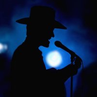 male singer - concert stock pictures, royalty-free photos & images