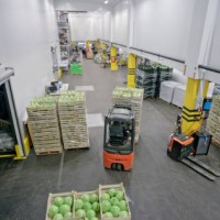 male worker using forklift truck in warehouse - food stock pictures, royalty-free photos & images