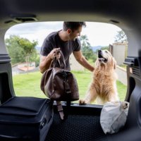man going on a road trip with his dog - travel stock pictures, royalty-free photos & images