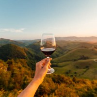 man holding a glass of red wine among hills and mountains, personal perspective view - food stock pictures, royalty-free photos & images