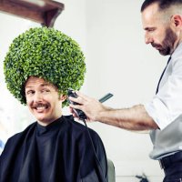 man in a barber shop - hairstyle stockfoto's en -beelden