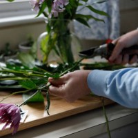 man in kitchen cutting flowers for arrangement, close-up - garden decoration stock-fotos und bilder