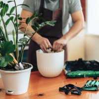 man pours earth from his hands into white pot - garden decoration stock pictures, royalty-free photos & images