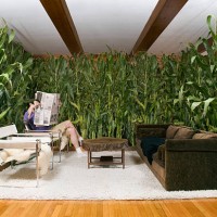 man reading paper in room with corn - home decoration stock pictures, royalty-free photos & images