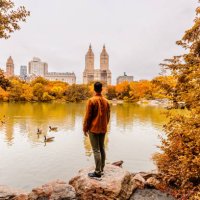 man standing by the lake, looking at autumn leaves colors in central park, new york city, usa - travel photos et images de collection