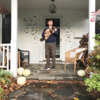 man standing on a porch decorated for halloween and holding a ragdoll cat - garden decoration stock-fotos und bilder