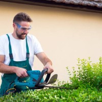 man trimming bushes in front of the house - garden decoration stock pictures, royalty-free photos & images