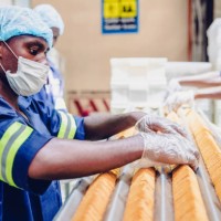 manual workers on job at a food processing plant in africa - food stock pictures, royalty-free photos & images